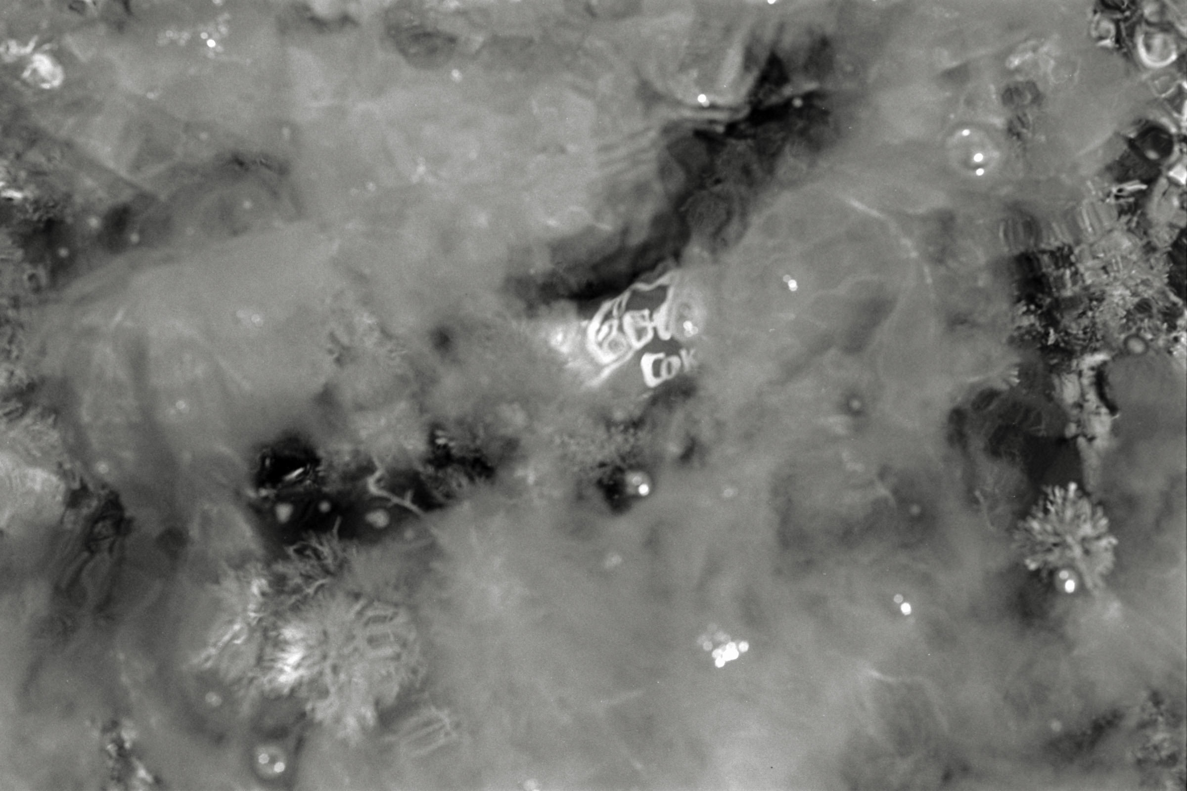 AHP F1991 09 005 sc250507 img20 NLP